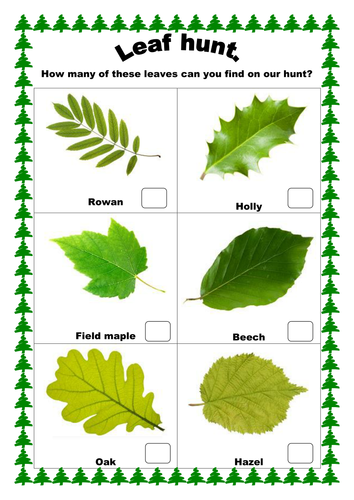 Get Outside This Autumn