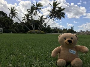 Adam's Epic Adventure – A close encounter…