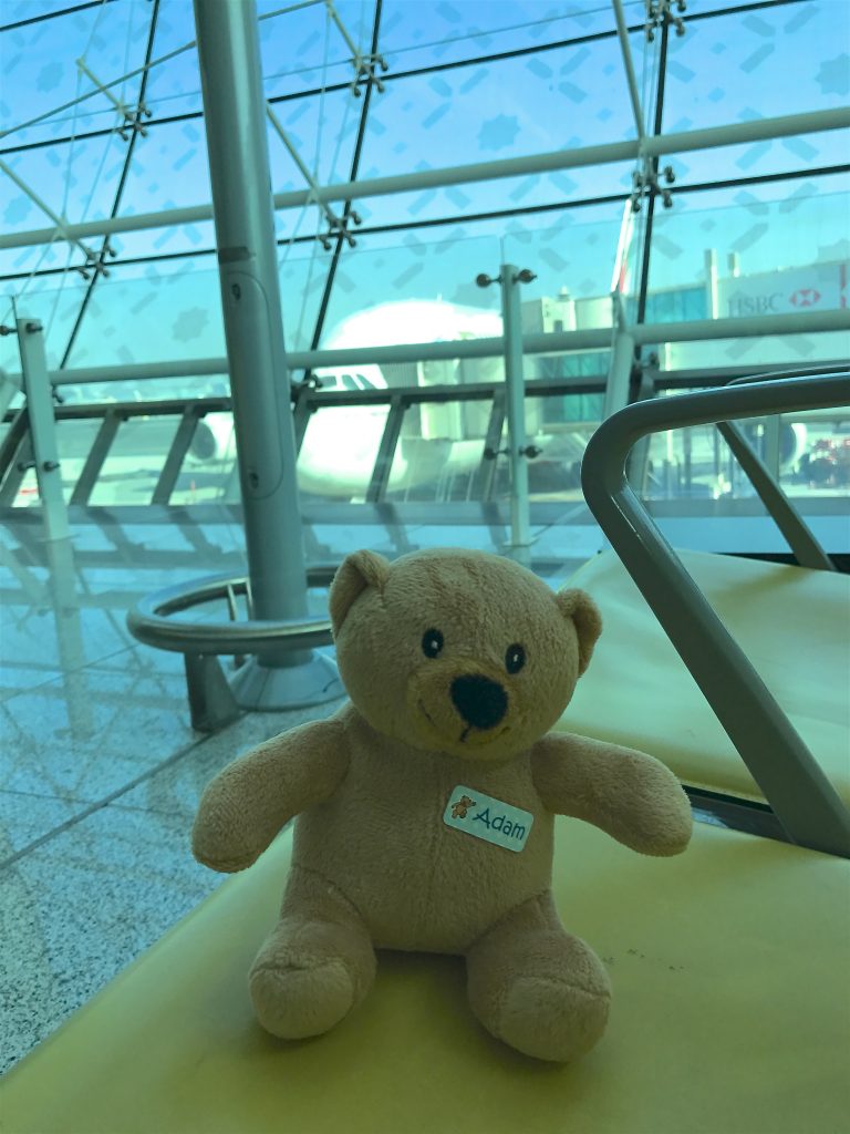 Adam's epic adventure! And so it begins…