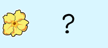Guess the flower and win a set of nametags!