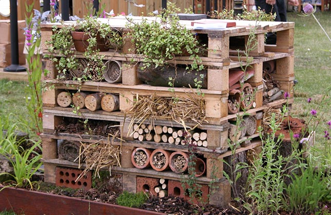 Bug Hotel