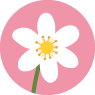 Flowers theme
