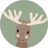 Forest animals theme