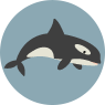 Ocean animals theme